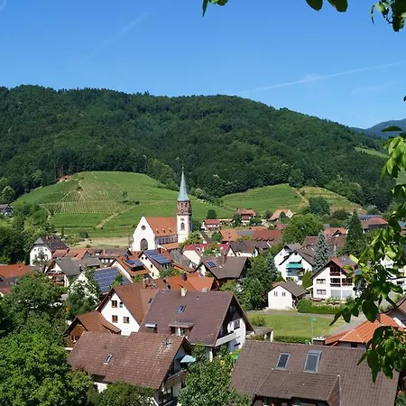 Schwarzenbergs Traube 호텔