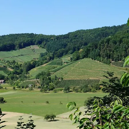 Schwarzenbergs Traube Hotel