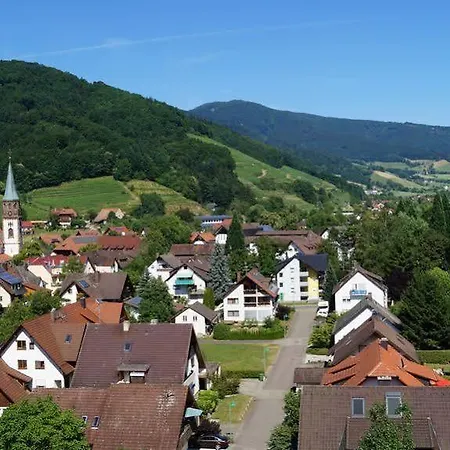 Schwarzenbergs Traube 호텔 4*