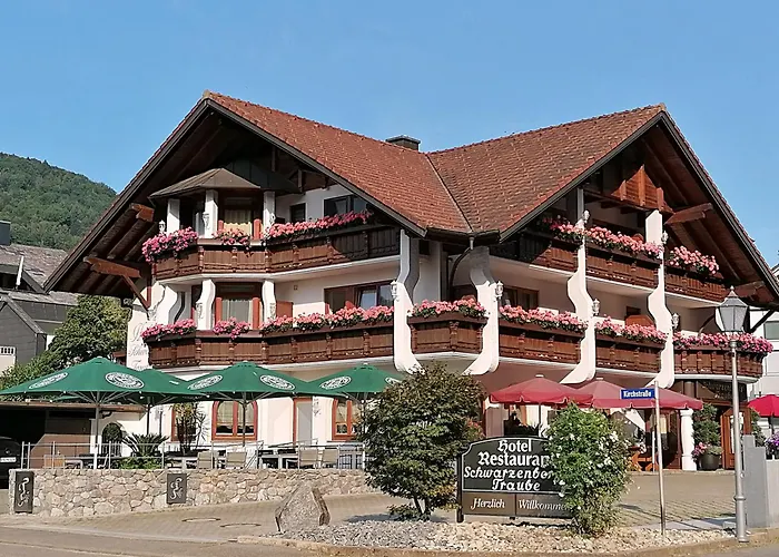 酒店 希瓦增贝格特劳贝酒店 4*