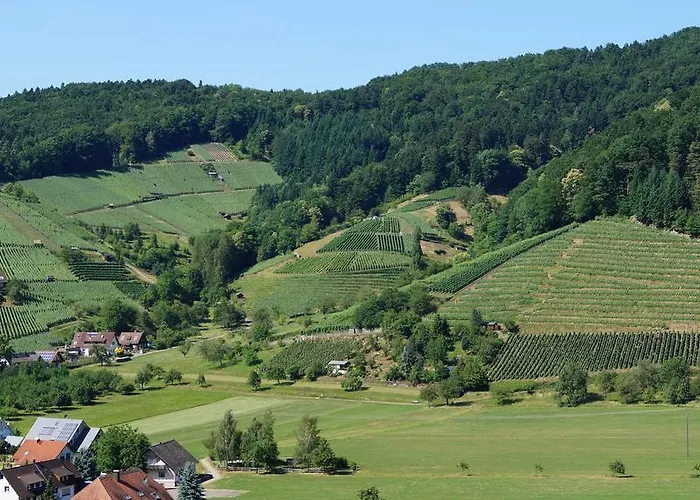 希瓦增贝格特劳贝酒店 4* 格洛特尔塔尔