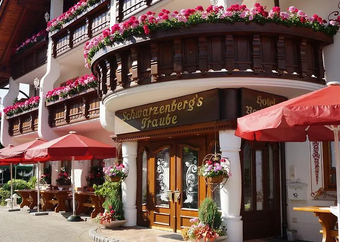 希瓦增贝格特劳贝酒店 4* 格洛特尔塔尔