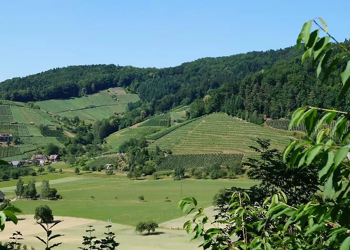 希瓦增贝格特劳贝酒店 酒店