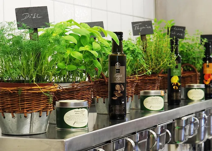 酒店 希瓦增贝格特劳贝酒店 格洛特尔塔尔