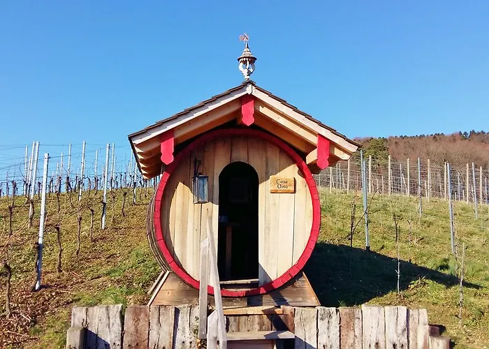 希瓦增贝格特劳贝酒店 4*