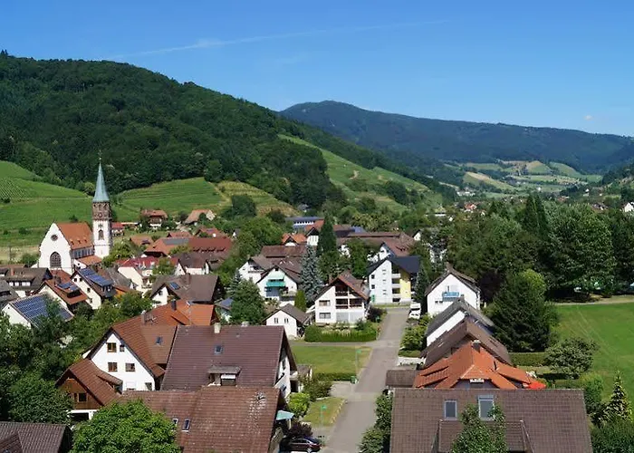 Schwarzenbergs Traube Hotel 4*